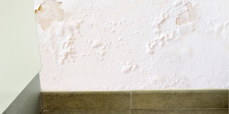 Como Detectar Vazamento de Água Dentro da Parede em Limeira: Confira 5 Dicas